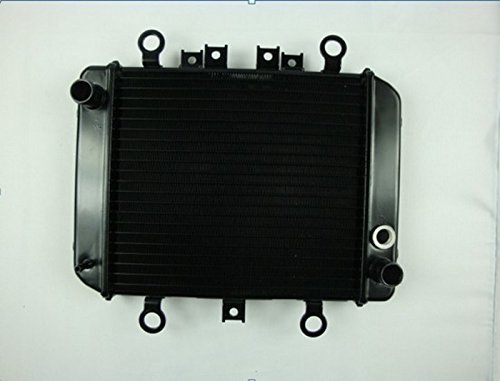 Motorcycle Grille Guard Radiator water Cooling Cooler 1PCS Fit For KAWASAKI ER-5 ER500 Adhesives GAO GAO301-MAX14-08-A037