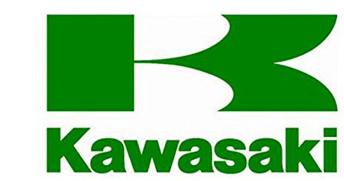 Rebuild Kits Kawasaki KKAF4000509