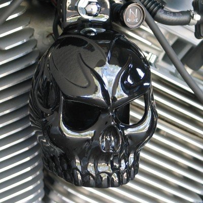 Horn Covers Chrome Dome SKU-GBET-1
