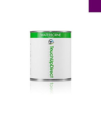 Touchup Paint TouchUpDirect TUD-1641-1998-M-HPINT-97059-PKG-EP