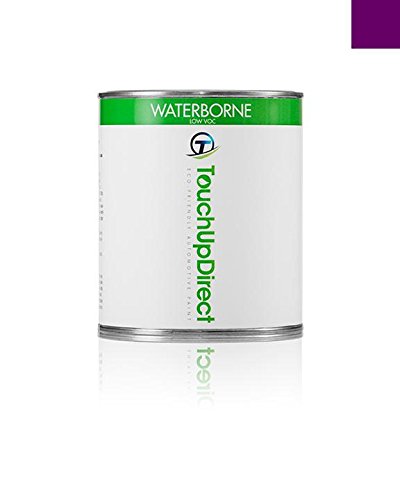 1995 Honda VT600CD Shadow VLX Deluxe Motorcycle Touch-Up Paint Touch Up Paint Pint - Pearl Paragon Purple P20P - Platinum Package Touchup Paint TouchUpDirect TUD-1620-1995-M-PINT-96461-PKG-PP