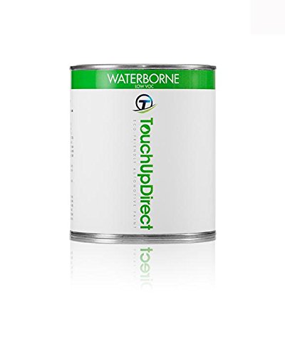 Touchup Paint TouchUpDirect TUD-1095-2011-M-PINT-89921-PKG-BB
