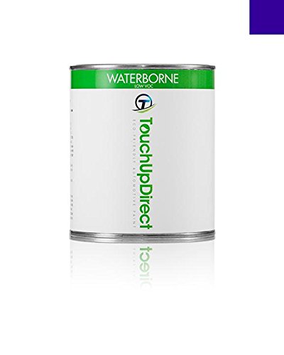 Touchup Paint TouchUpDirect TUD-1533-1989-M-PINT-95931-PKG-BB