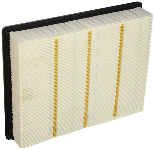 Air Filters ACDelco A3181C