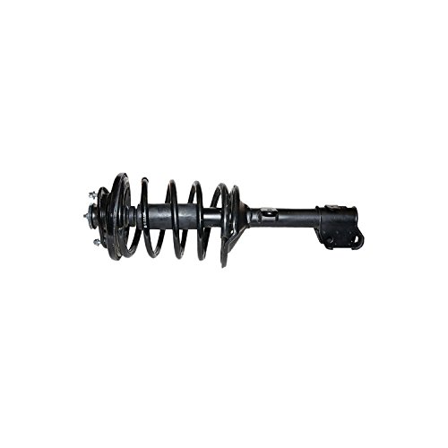 Struts Gabriel G57119