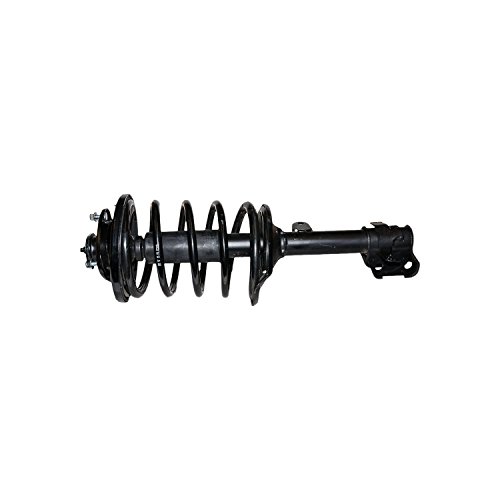 Struts Gabriel G57120