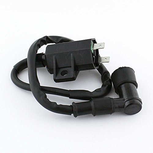 Ignition Coils Caltric IC111/8