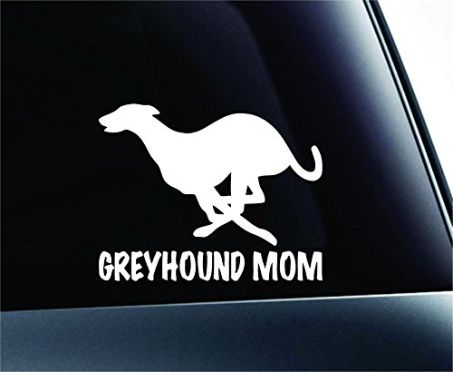 Bumper Stickers, Decals & Magnets ExpressDecor ExpressDecor