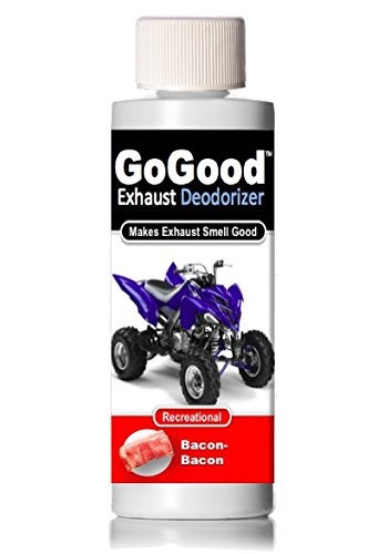 Fuel Additives GoGood Exhaust Deodorizer REC004