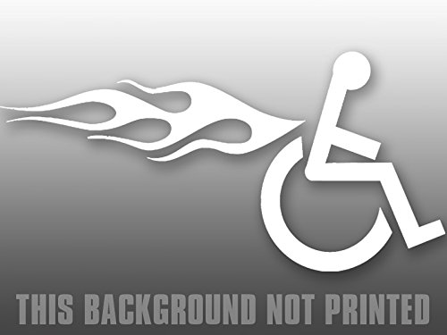 Bumper Stickers, Decals & Magnets American Vinyl 11673