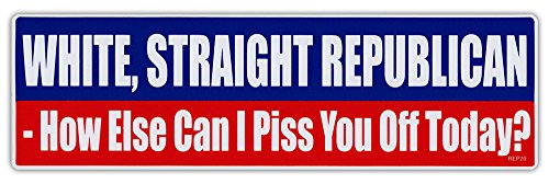 Bumper Stickers, Decals & Magnets Crazy Sticker Guy CSG-1407