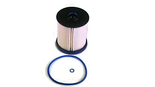 Fuel Filters  23456595