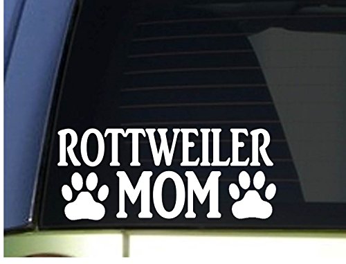 Bumper Stickers, Decals & Magnets EZ-STIK 788679557543