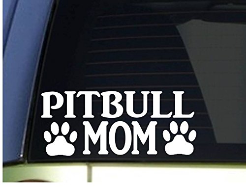 Bumper Stickers, Decals & Magnets EZ-STIK 788679557574