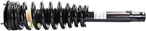 Struts Monroe 172596