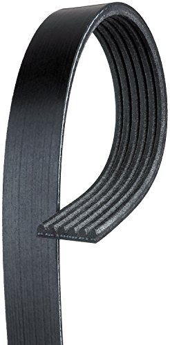 Serpentine ACDelco 12588408