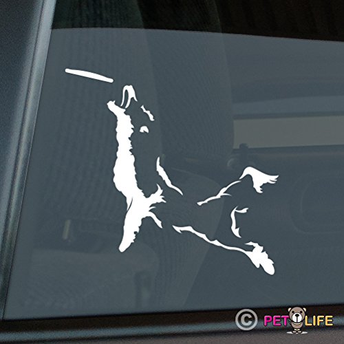 Bumper Stickers, Decals & Magnets Mister Petlife PD-1315