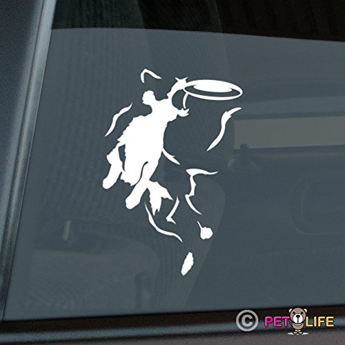 Bumper Stickers, Decals & Magnets Mister Petlife PD-1316