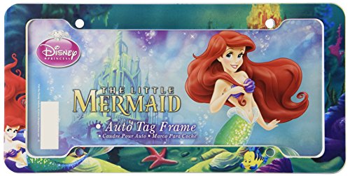 Frames Chroma Graphics 42521