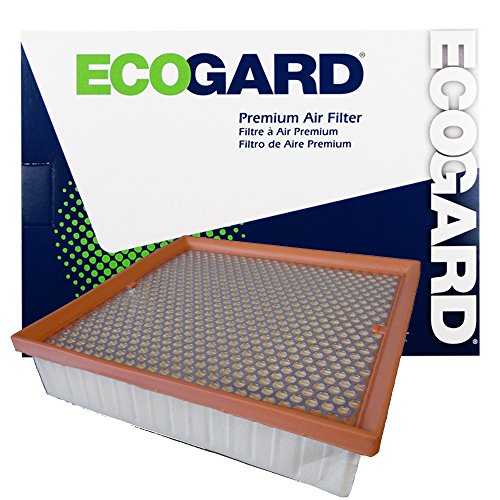 Air Filters EcoGard XA10236