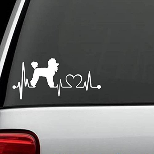 Bumper Stickers, Decals & Magnets Bluegrass Decals 788679097056