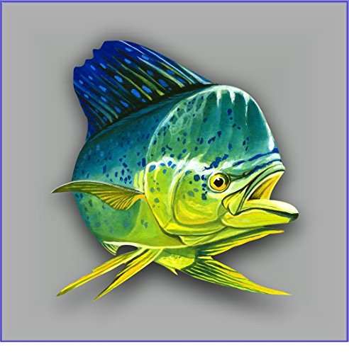 Bumper Stickers, Decals & Magnets Vinyl Junkie Graphics Mahi Mahi sticker