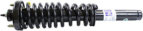 Struts Monroe 171583R