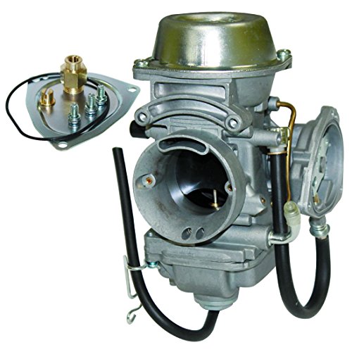 Carburetors Caltric CA161/1