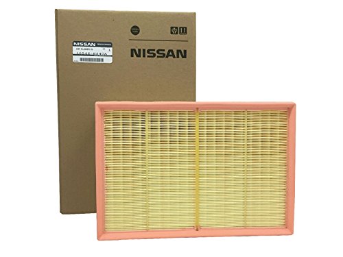 Air Filters Nissan 16546-EZ40A