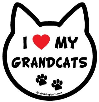 I Love My Grandcats cat head magnet Bumper Stickers, Decals & Magnets Fundraising4pets CAT118