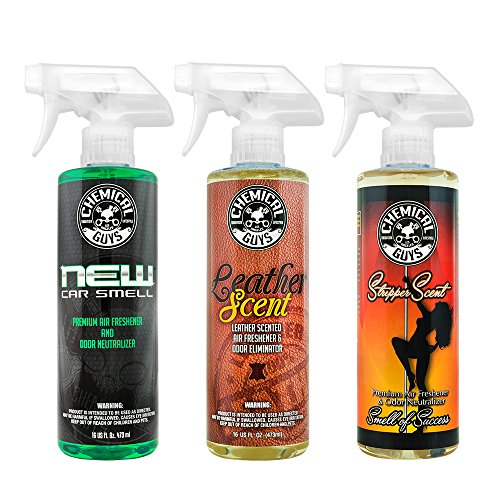 Air Fresheners Chemical Guys AIR_301