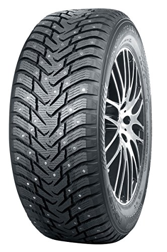 Winter Nokian TS32090