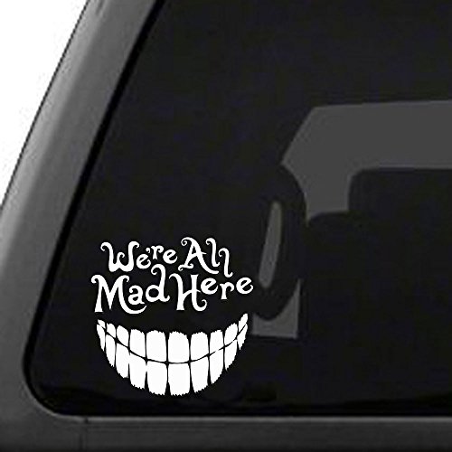 Bumper Stickers, Decals & Magnets Signage Cafe WRALMDTEETH