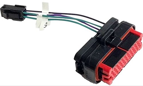 Speaker Systems Hogtunes RR PLUG-AA