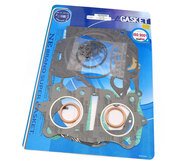 Gaskets 4into1 SP10-3000