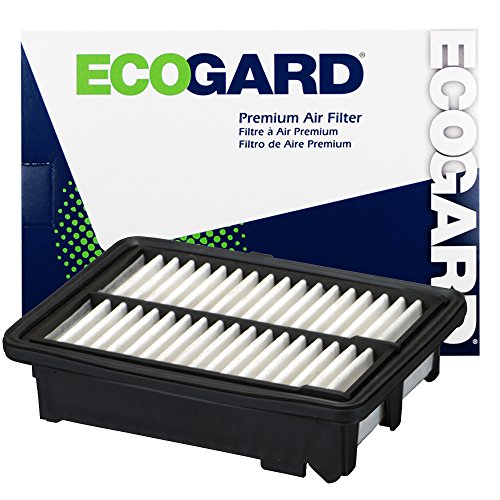 Air Filters EcoGard XA10424