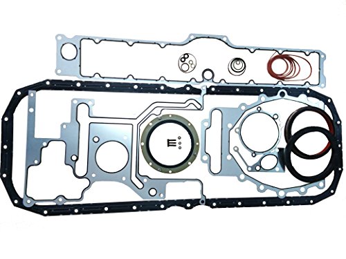 Gaskets Disong 4955590