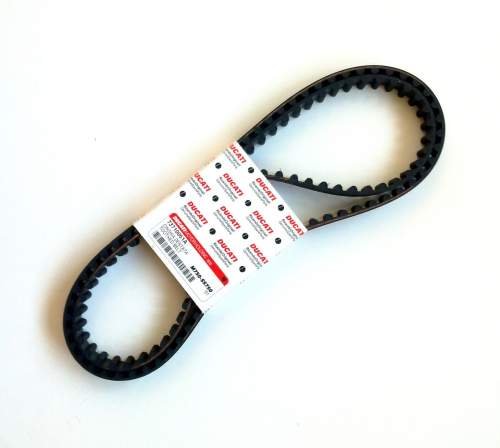 Belts Ducati 73710051A