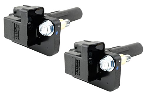 Coil Packs Subaru 22433AA561 (2)