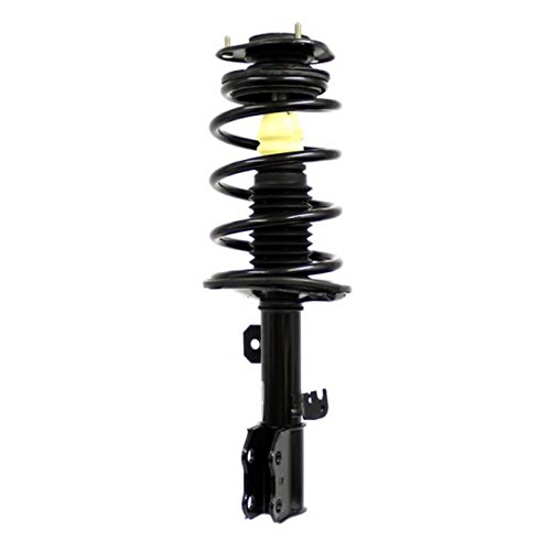 Struts Detroit Axle 172117