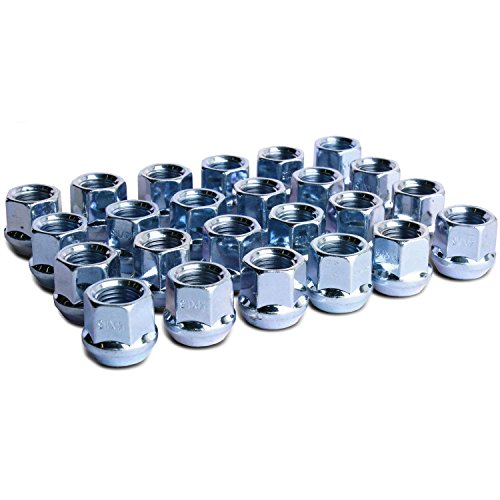 Lug Nuts WheelGuard 05010101P