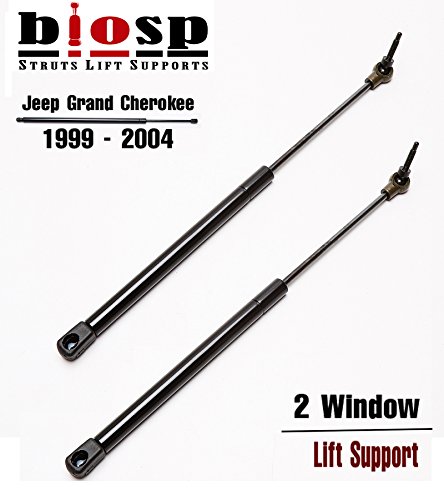 Lift Supports biosp SG314022,4528